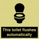 this-toilet-flushes-automatically~